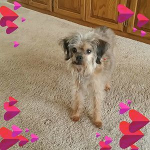 Meet your Posher, Nancy